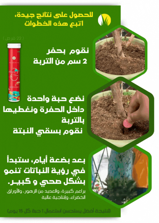 خطوات الاستخدام