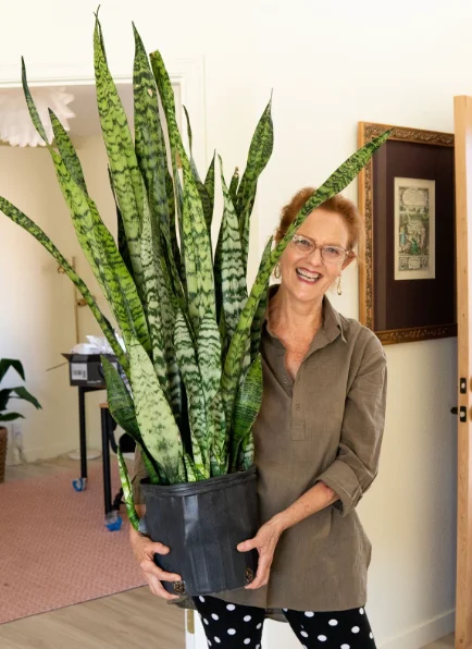 نبات الثعبان